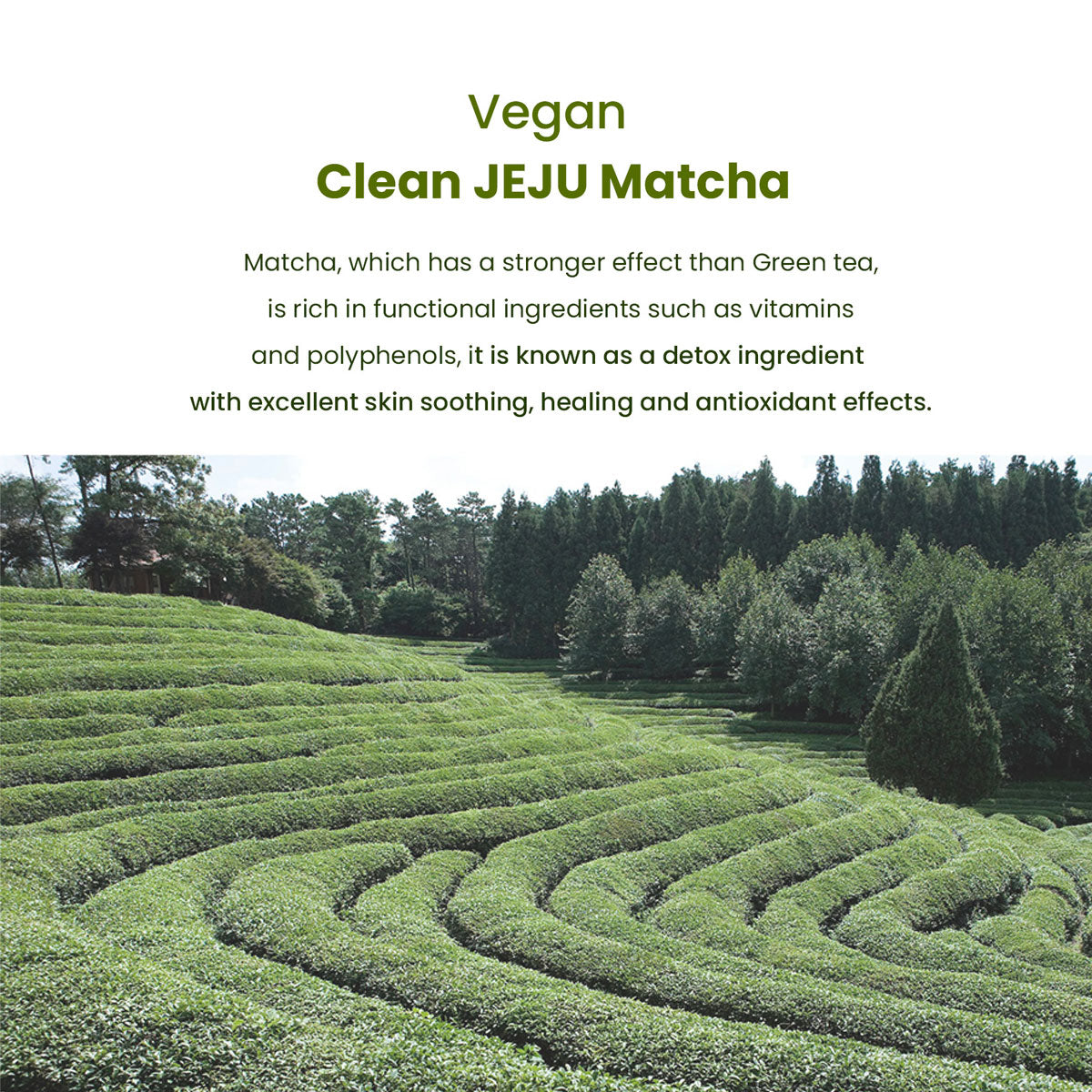 HEIMISH MATCHA BIOME INTENSIVE REPAIR CREAM